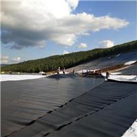 Géomembrane en PEHD noire pour bassin