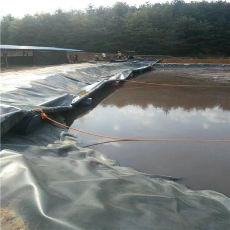 the Water Quality for  the HDPE Geomembrane's Impact