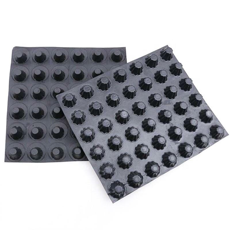 HDPE Drain Board