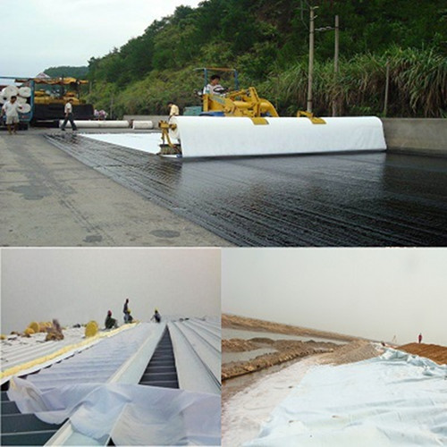 Filament Polyester Geotextile Factory Price.jpg