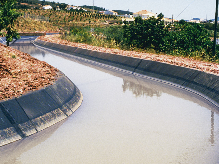 Black Pond Liner.jpg