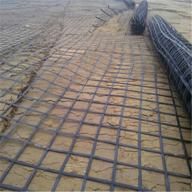 The Biaxial Geogrid.jpg