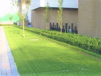 Plastic Grass Grid Effect