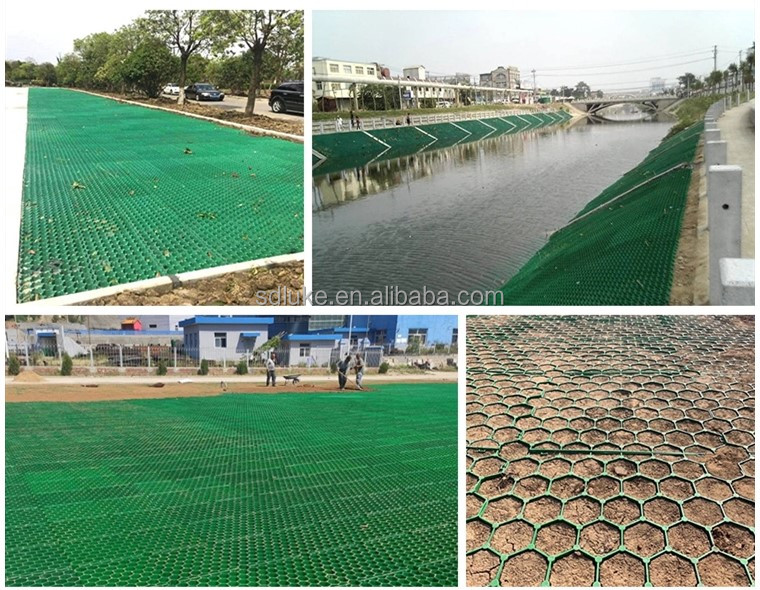 Plastic Grass Grid application