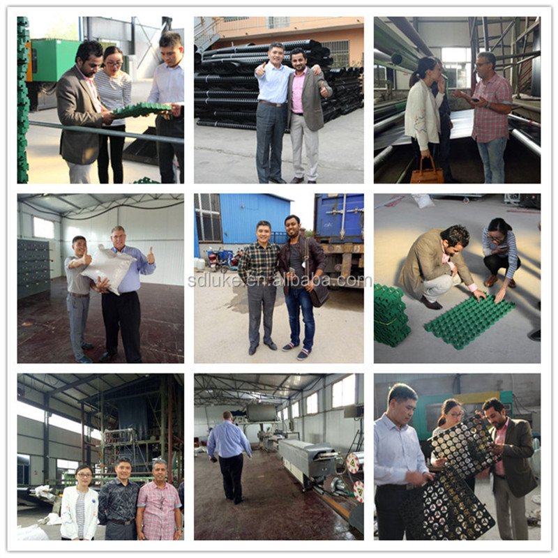 Fibre de maille de polypropylène pour la construction.jpg Fibre de maille de polypropylène pour la construction.jpg