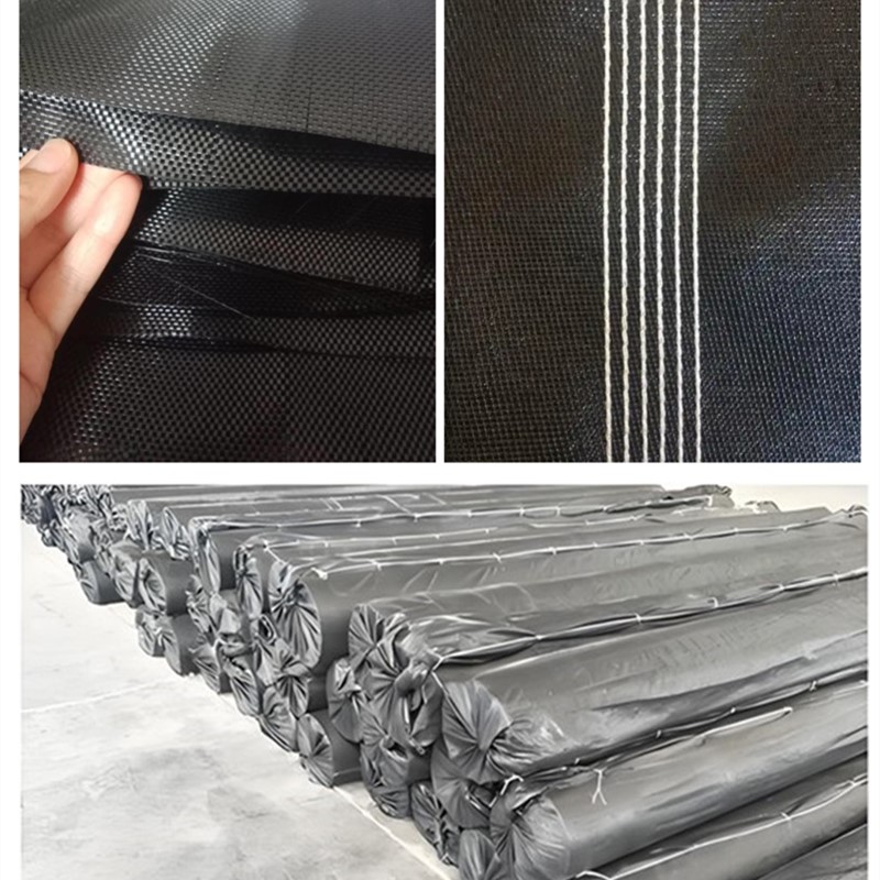 Sac de déshydratation des boues Geotube pour la protection contre les inondations.jpg Sac de déshydratation des boues Geotube pour la protection contre les inondations.jpg