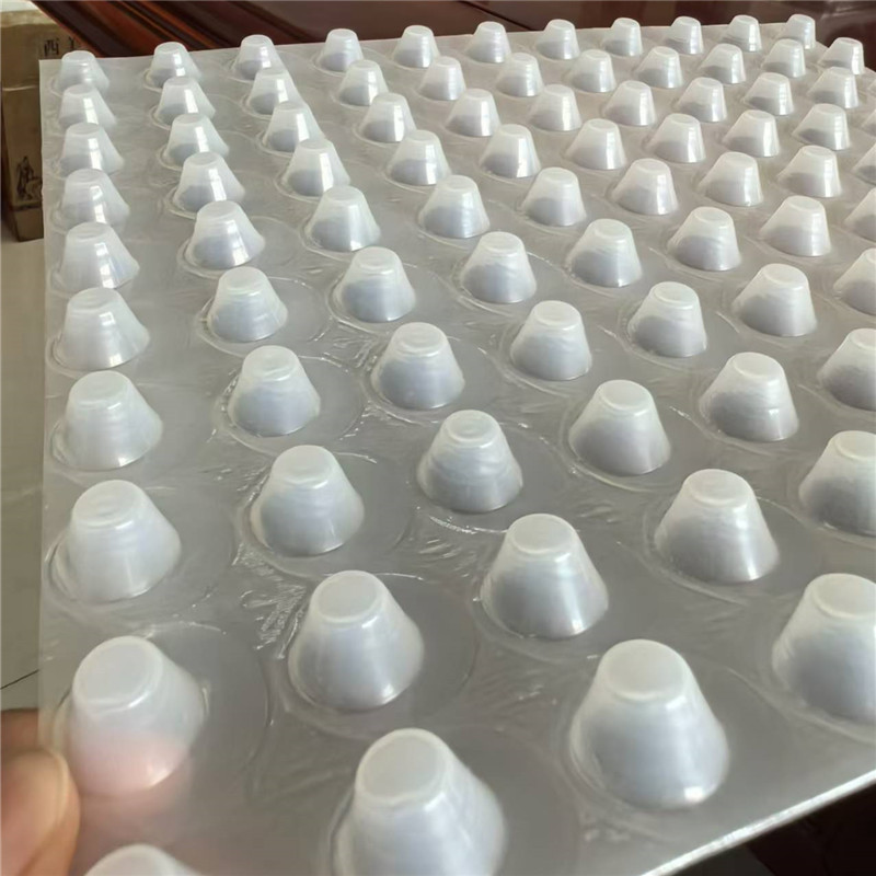 Hauteur 20 mm Carte de drainage HDPE blanche.jpg