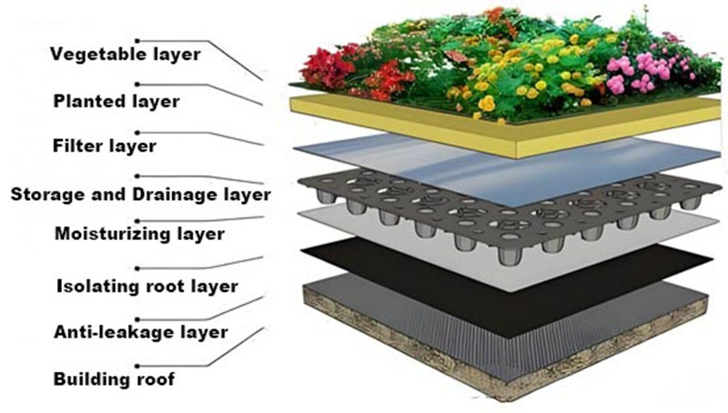 1740725243282890.jpg 排水板结构 1_ 副本 .jpg