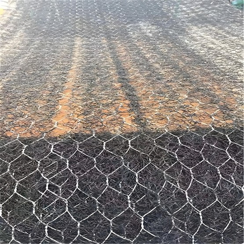 Fonction du tapis d'érosion.jpg Fonction du tapis d'érosion.jpg