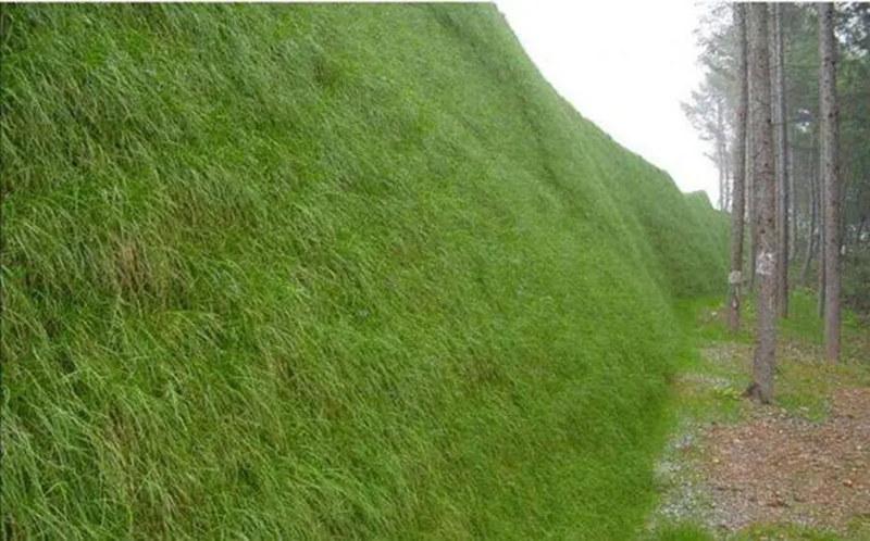 Application de couverture de contrôle de l'érosion 3D.png Application de couverture de contrôle de l'érosion 3D.png