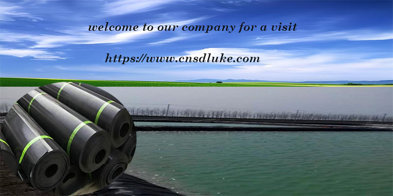 1754295850525631.jpg service de géomembrane en PEHD.jpg