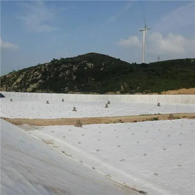 Géotextile à aiguilles en fibres discontinues pour l'entretien des routes.jpg