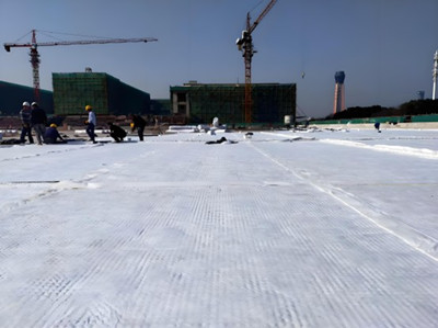 Panneau de drainage composite haute résistance.jpg