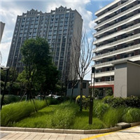 Récupération des eaux de pluie pour une résidence.jpg