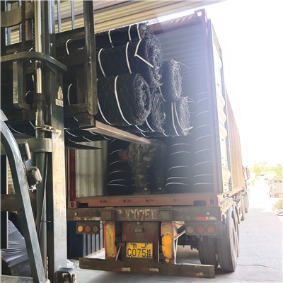 Tapis renforcé de géogrille 3D.jpg Tapis renforcé de géogrille 3D.jpg