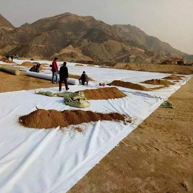 Géotextile aiguilleté pour la stabilisation des sols.jpeg