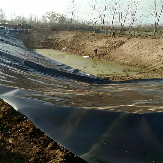 Bâche en PEHD pour bassin.jpg Bâche en PEHD pour bassin.jpg