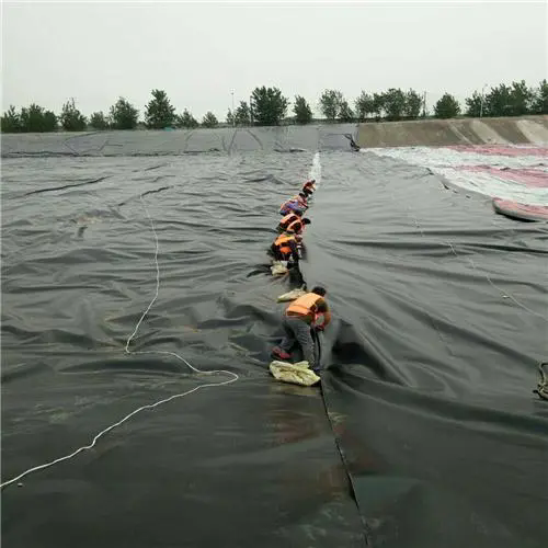 Géomembrane en PEHD pour bâche de bassin.png Géomembrane en PEHD pour bâche de bassin.png
