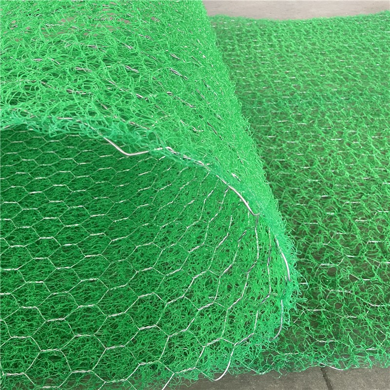 Solution anti-érosion efficace avec géomat 3D de contrôle de l'érosion.jpg