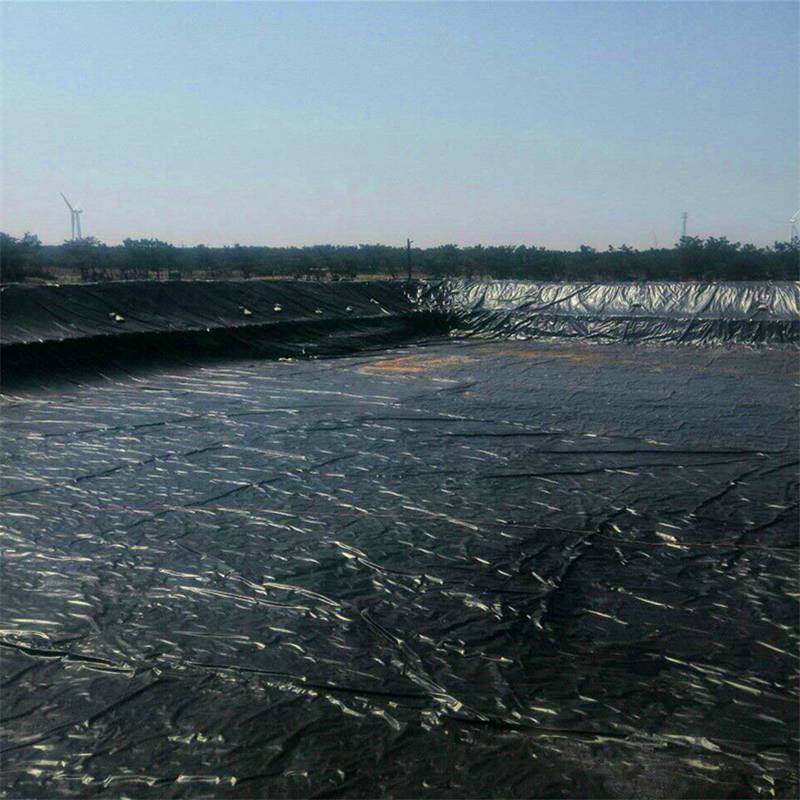 Revêtement géomembrane en PEHD pour l'aquaculture de crevettes.jpg Revêtement géomembrane en PEHD pour l'aquaculture de crevettes.jpg