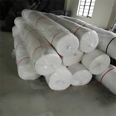 Géotextile à fibres longues.jpg Géotextile à fibres longues.jpg