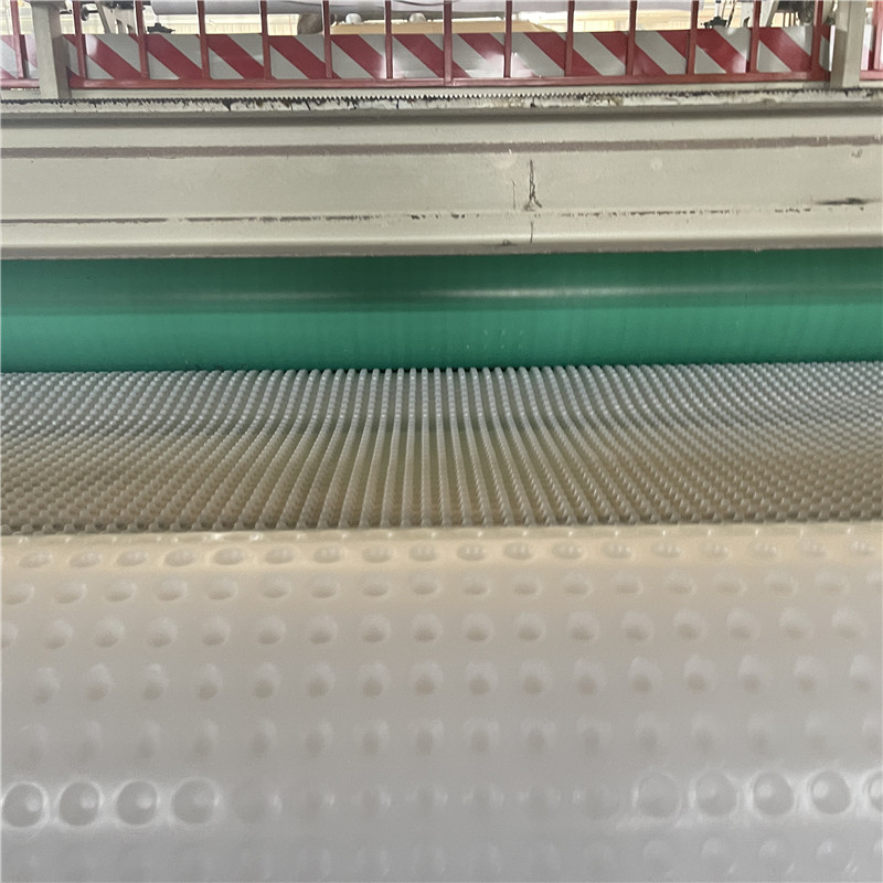 Prix de gros du panneau de drainage alvéolé en PEHD sur mesure.jpg